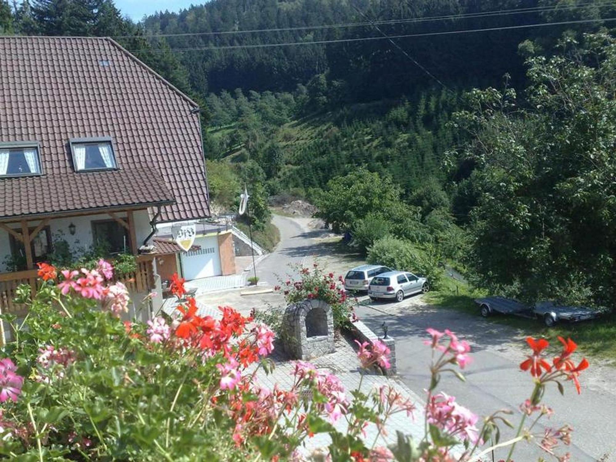 Ferienwohnung Schneckenhus Lautenbach Εξωτερικό φωτογραφία