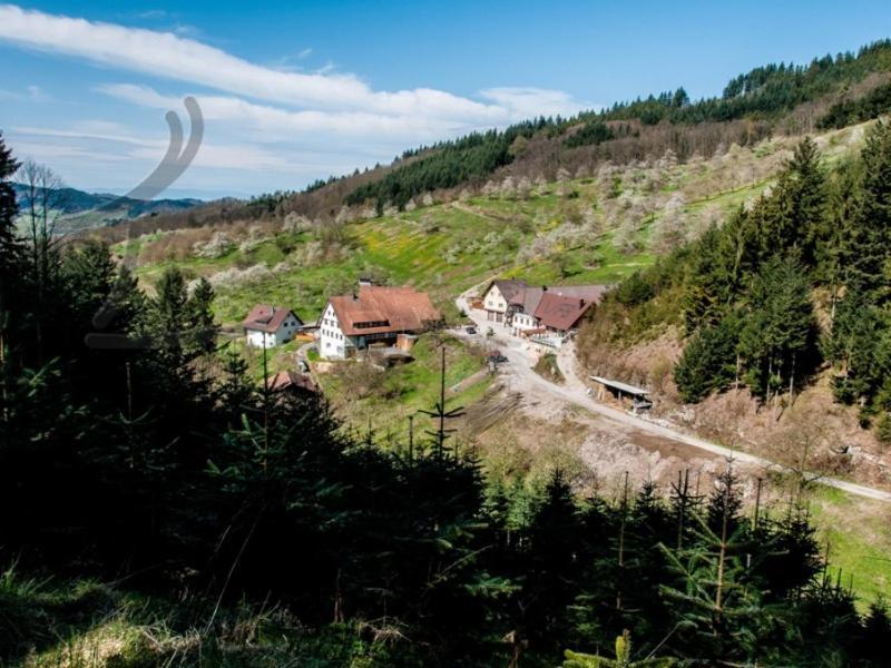 Ferienwohnung Schneckenhus Lautenbach Εξωτερικό φωτογραφία