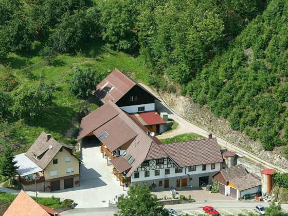 Ferienwohnung Schneckenhus Lautenbach Εξωτερικό φωτογραφία