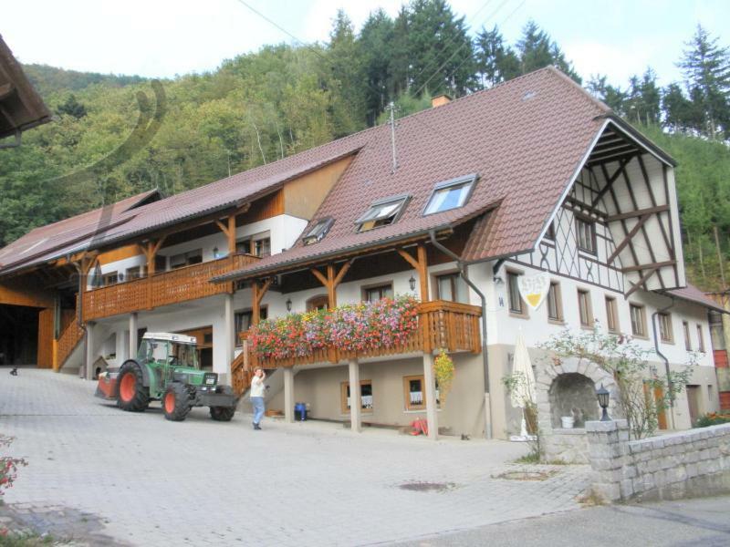 Ferienwohnung Schneckenhus Lautenbach Εξωτερικό φωτογραφία